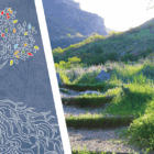 graphic of path in nature