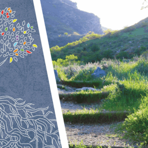 graphic of path in nature