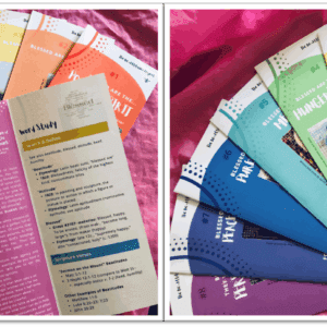 photos of pamphlets of Foundation Builder Guide - The Be Attitude Project