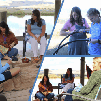 photo collage of creation nature project