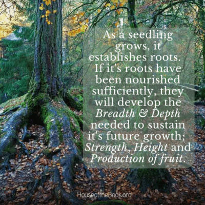 tree image with quote, "as a seedling grows, it establishes roots. If it's roots have been nourished sufficiently, they will develop the Breadth & Depth needed to sustain it's future growth; Strength, Height and Production of fruit."