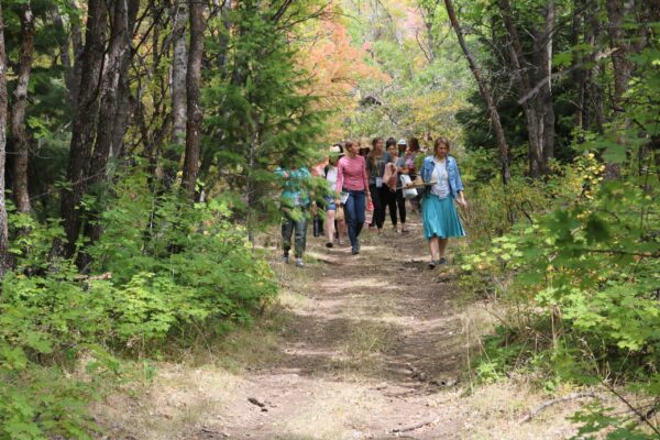 group of women walking through a forest