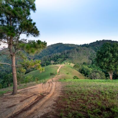 dirt road and rolling green hills